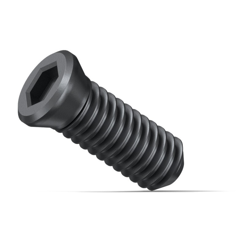 Tornillo apriete plaquitas Fein KX 10 ud